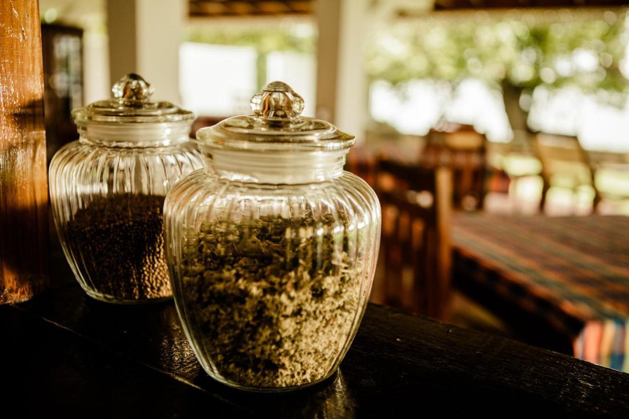 Thaulle Ayurveda Resort - Yala Tissamaharama Eksteriør billede