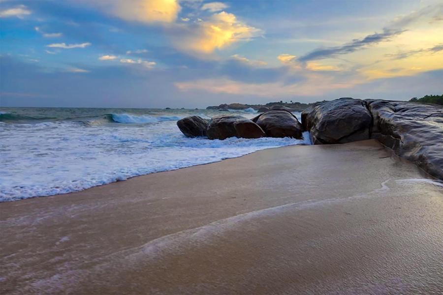 Thaulle Ayurveda Resort - Yala Tissamaharama Eksteriør billede