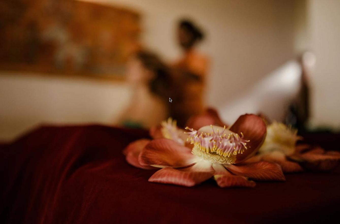 Thaulle Ayurveda Resort - Yala Tissamaharama Eksteriør billede