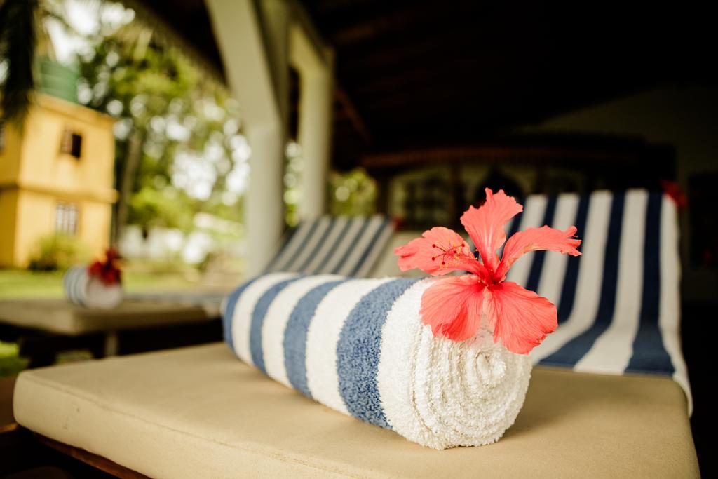 Thaulle Ayurveda Resort - Yala Tissamaharama Eksteriør billede